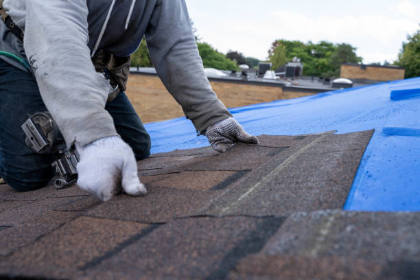 Best Roof Maintenance Services  in East Prairie, MO