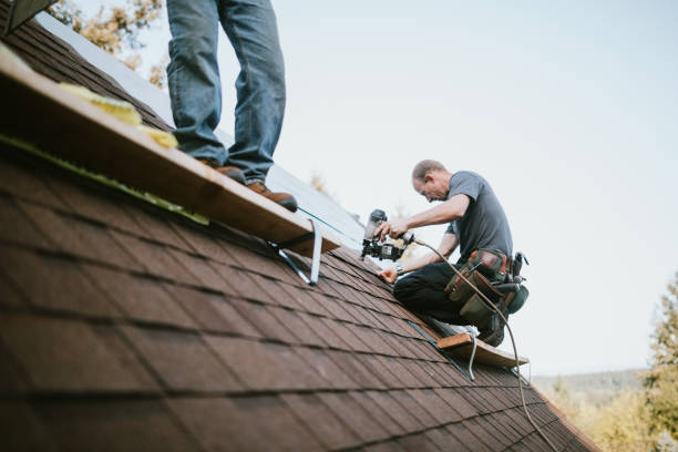 Best Storm Damage Roof Repair  in East Prairie, MO